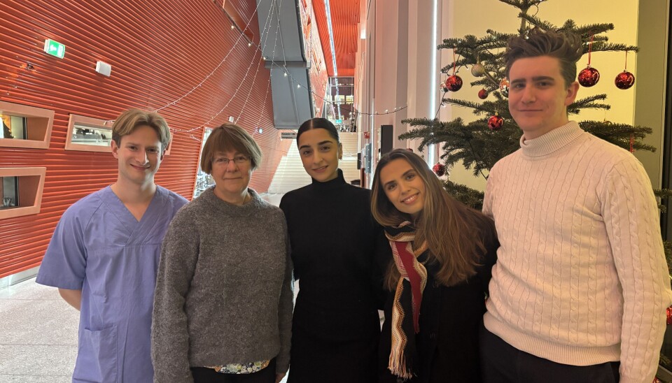 F.v. sekretær Erik Kvinnsland, studiekonsulent Sissel Vågenes og studentene Derja Awfi Husein-Omar, Celine M. Haavik og Odd Johan Olsen er imponerte av de ansattes julepynting på Odontologen.