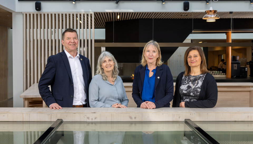 Rektoratet ved UiB, f.v.: Gottfried Greve, Benedicte Carlsen, Margareth Hagen og Pinar Heggernes.