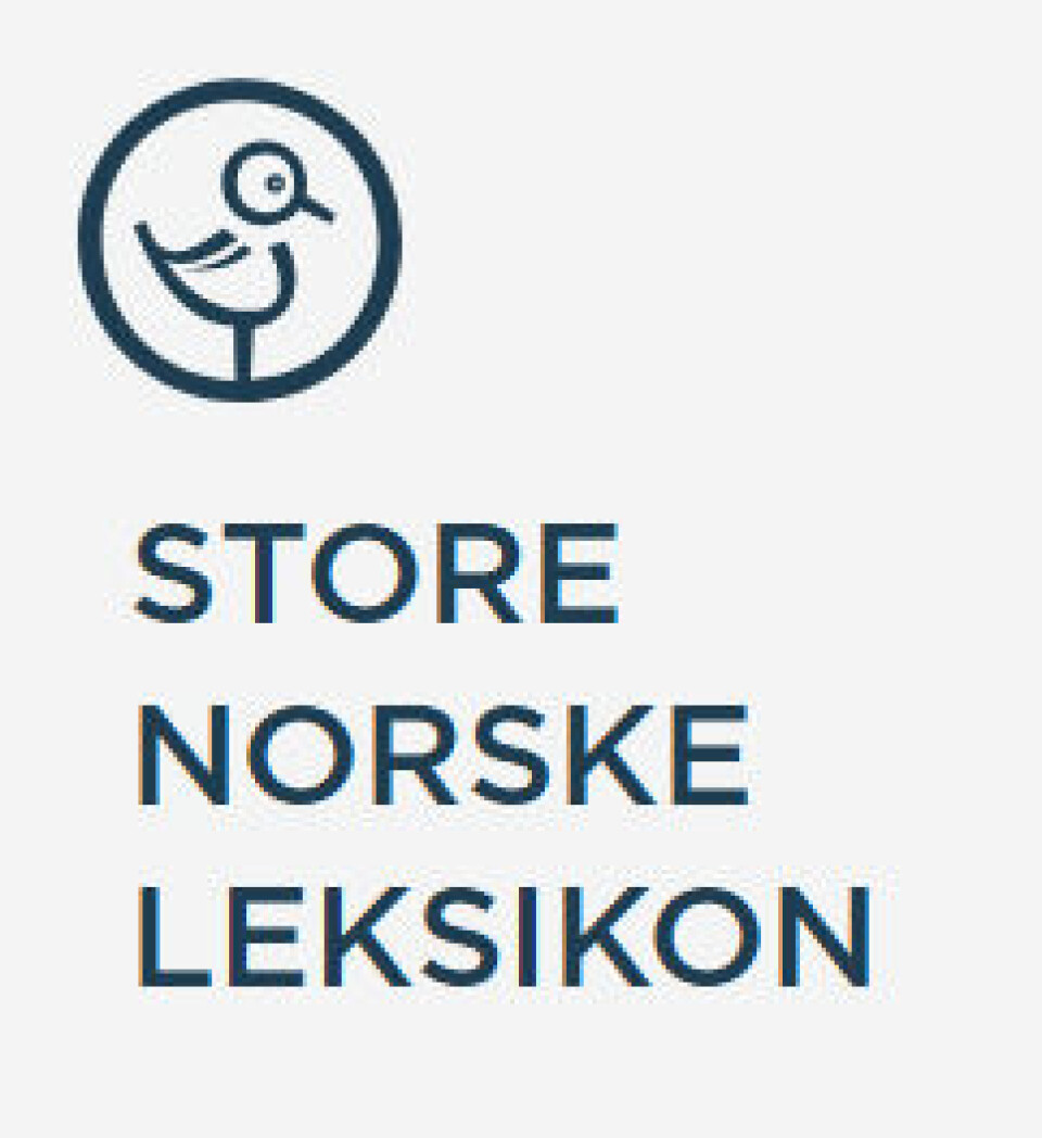 UiB-forskernes leksikontekster ble lest 7,1 millioner ganger i 2024