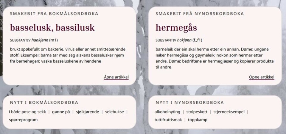 Framsida på websida.