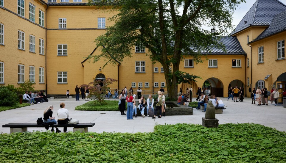 UiB har mye natur på ulike campus, her fra Sydneshaugen skole. Grønn Campus vil redusere negativ påvirkning på natur i hele driften, og sikre biologisk mangfold.