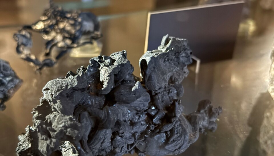 Sølvstuffen (MN51) frå Kongens Gruber, Kongsberg kan du sjå i mineralutstillinga på Universitetsmuseet Naturhistorie Sølvstuffen (MN51) frå Kongens Gruber, Kongsberg kan du sjå i mineralutstillinga på Universitetsmuseet Naturhistorie
