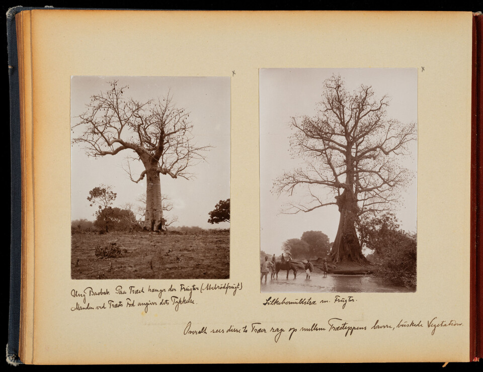 Albumside med bilder og tekster. Foto. August Brinkmann.