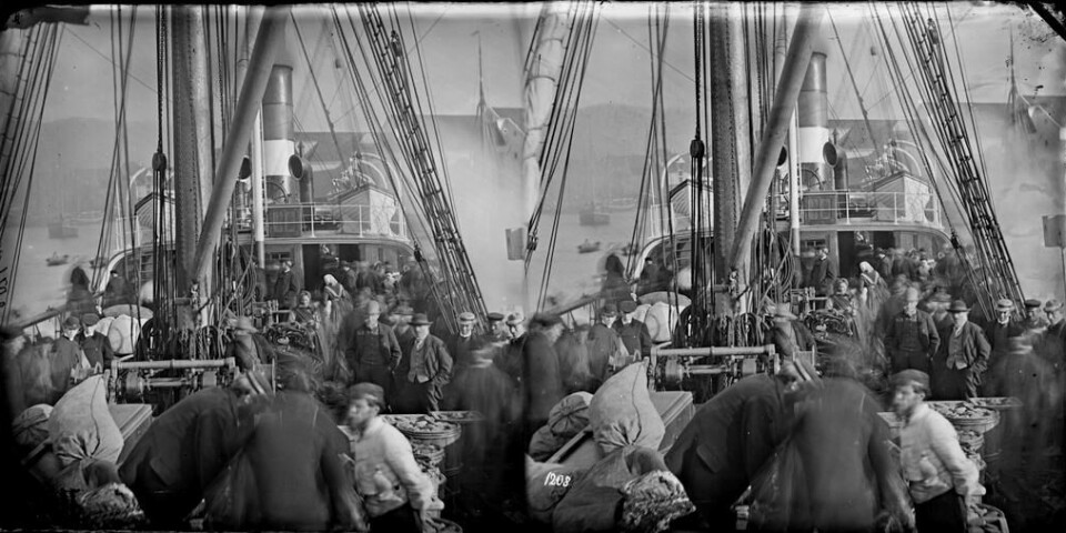 'Et Emigrantskib ved dets Afreise fra Bergen' - foto av Knud Knudsen (mellom 1871 og 1873).
