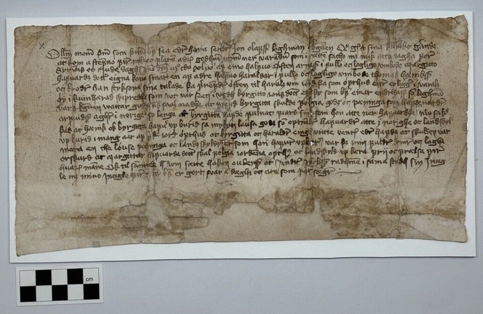 Diplom datert 1449, 20. oktober (Bergen), etter konservering.