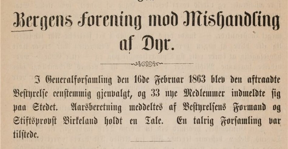 Da bergenserne ble dyrevernere – og slo et slag for fisken