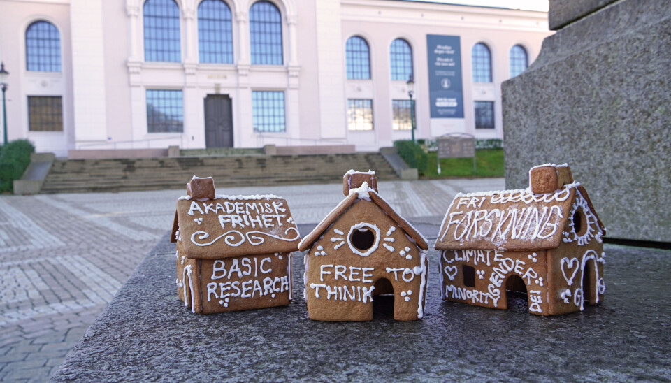Den akademiske pepperkakebyen skal stilles ut på Universitetsmuseet i desember. Den akademiske pepperkakebyen