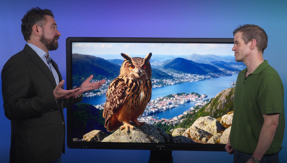 Glimt fra nettkurset i KI Kompetanseløft modul 2 med professor Torger Kielland (JUS) og underviser Eirik Dalheim (MED)